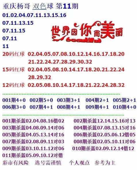 新澳天天彩免费资料查询85期|求精释义解释落实