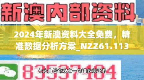 2025新澳资料免费精准051|丰盈释义解释落实