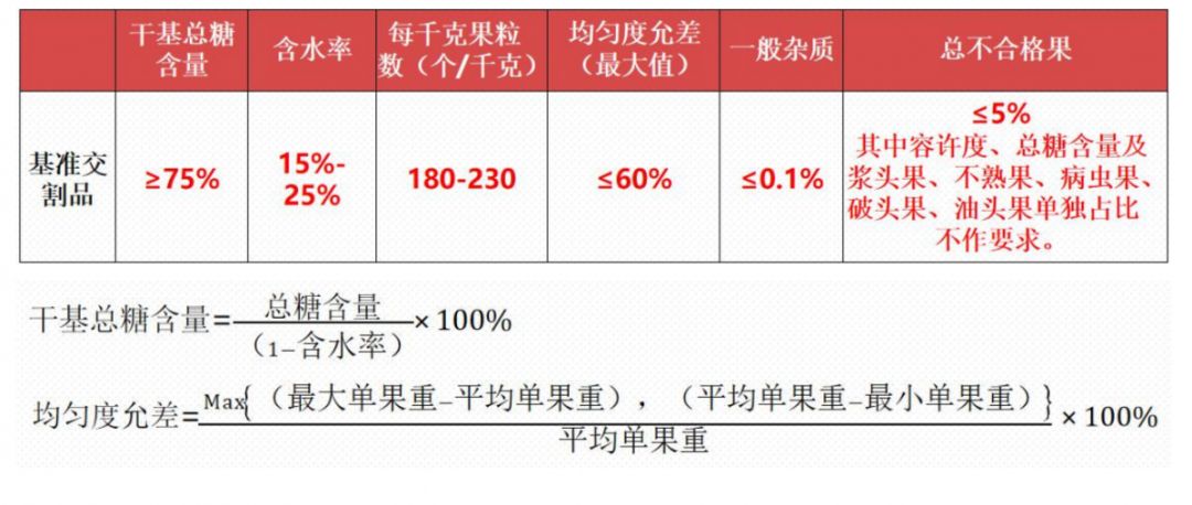 管家婆最准一码一肖|顾客释义解释落实