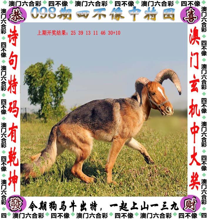 新闻 第598页