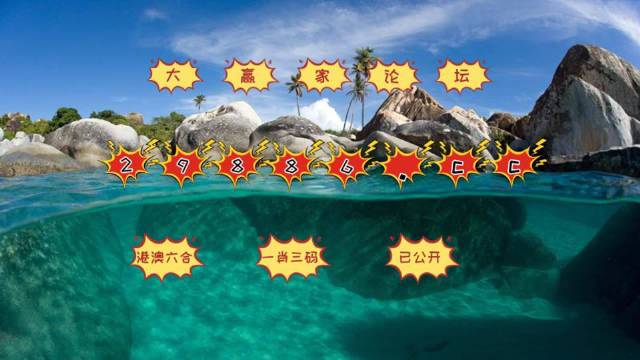 咨询 第584页