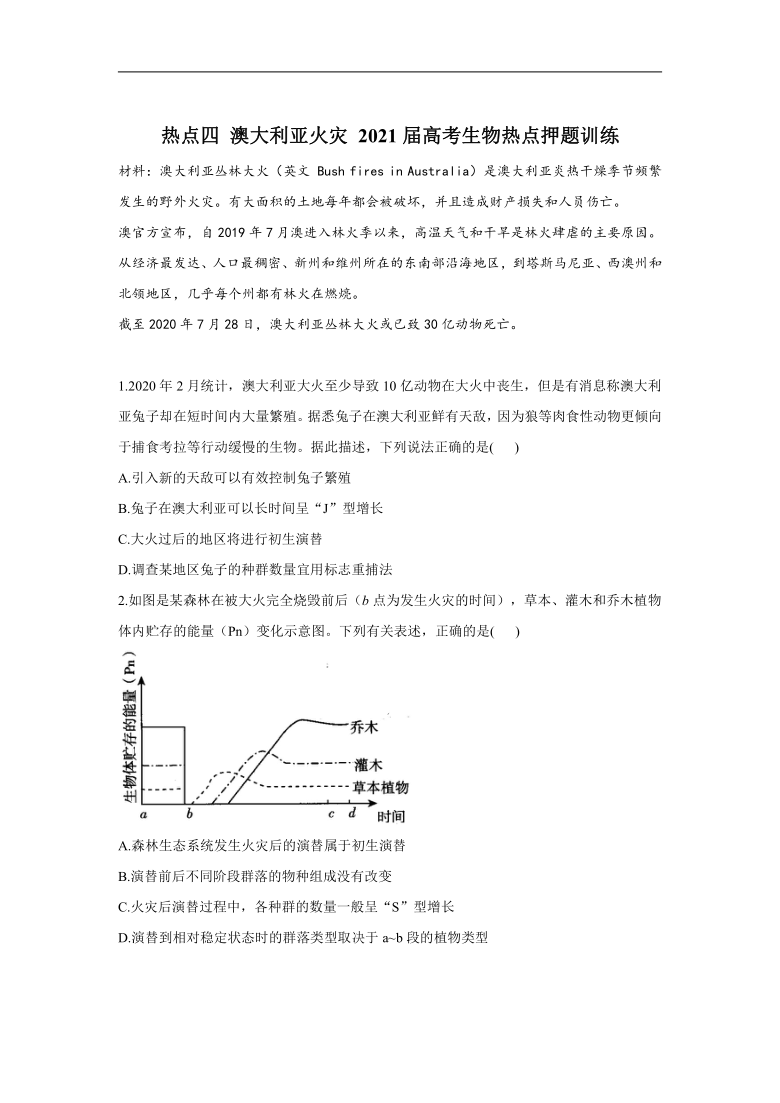 新澳2025正版资料免费公开|热点释义解释落实