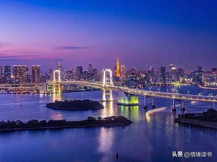2025年澳门历史记录|探讨释义解释落实