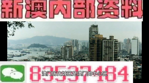 新澳门内部精准资料|良师释义解释落实