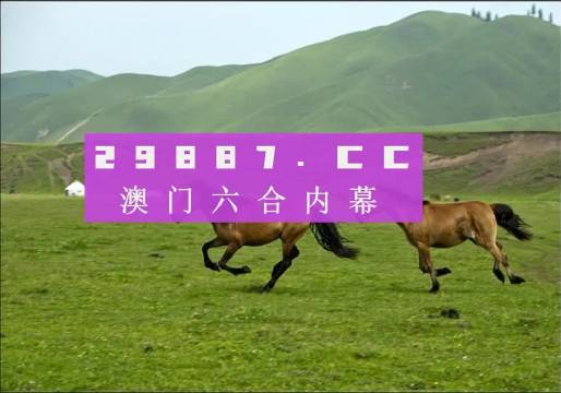 澳门天天彩期期精准龙门客栈|权能释义解释落实