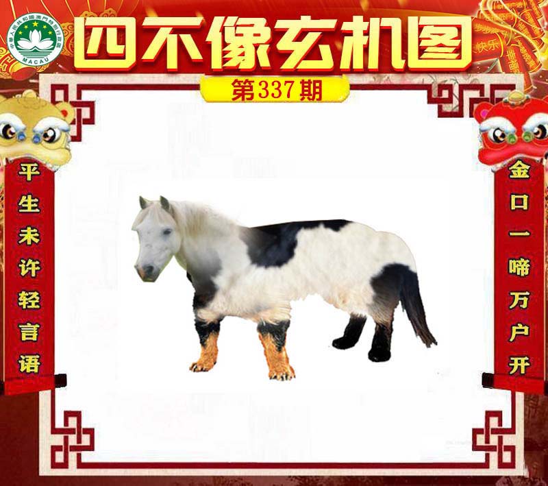 新闻 第266页