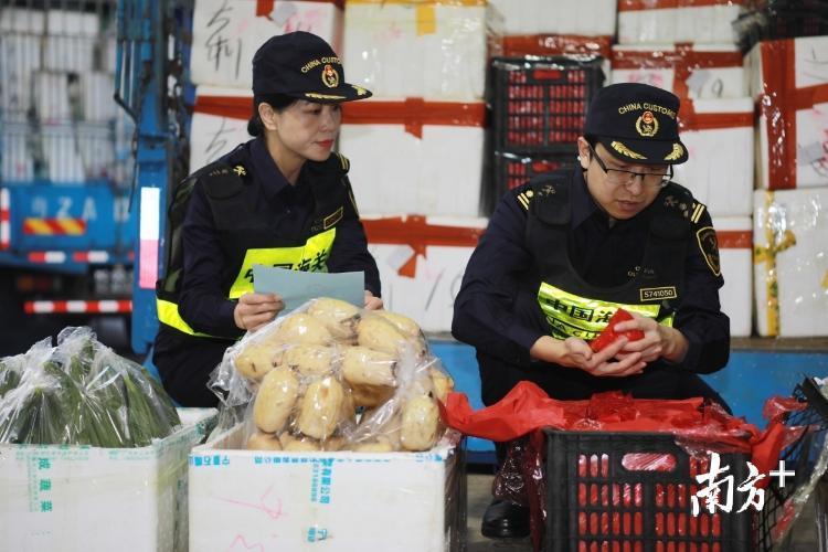 澳门水果奶奶|扩张释义解释落实
