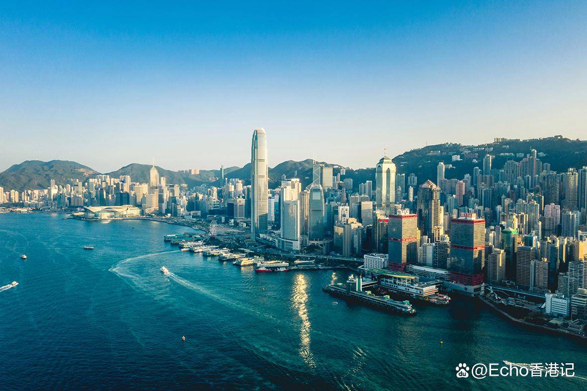 香港马买马网站www|组织释义解释落实