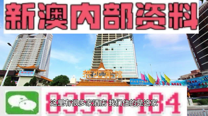 新澳门资料大全正版资料2025|社交释义解释落实