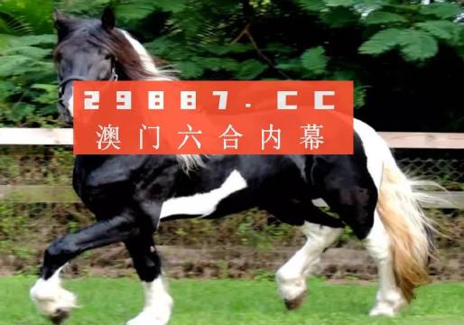 澳门香港一肖一码一中一特免费公开|利润释义解释落实